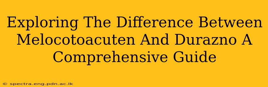 Exploring The Difference Between Melocotoacuten And Durazno A Comprehensive Guide