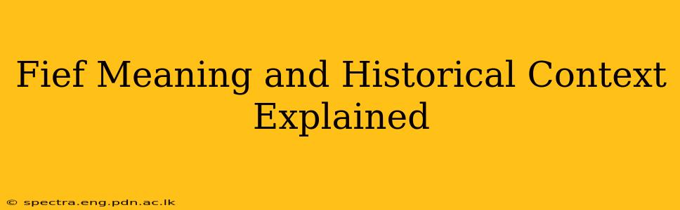 Fief Meaning and Historical Context Explained