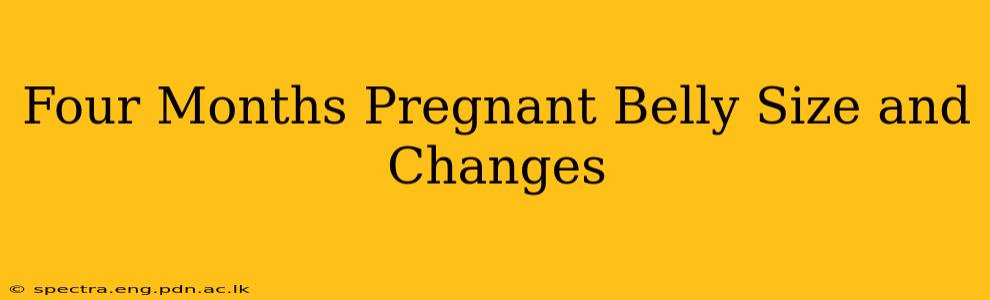 Four Months Pregnant Belly Size and Changes