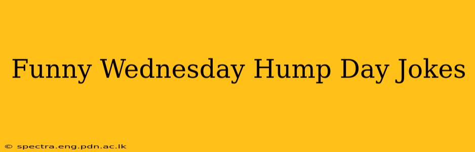 Funny Wednesday Hump Day Jokes