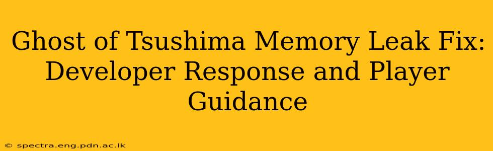 Ghost of Tsushima Memory Leak Fix: Developer Response and Player Guidance
