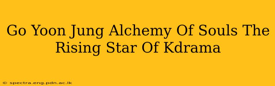 Go Yoon Jung Alchemy Of Souls The Rising Star Of Kdrama