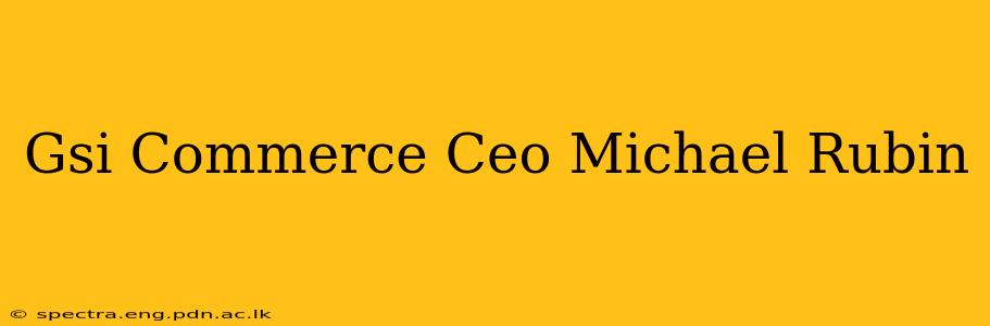 Gsi Commerce Ceo Michael Rubin
