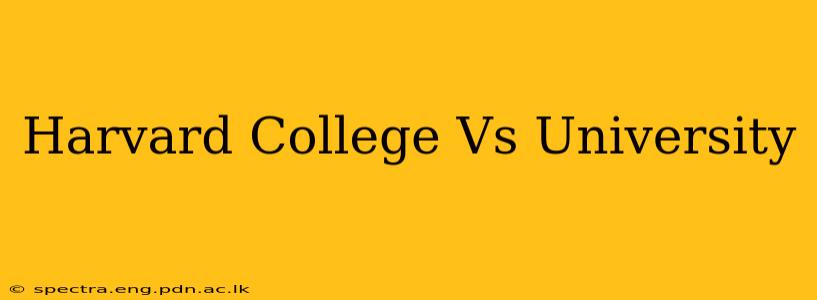 Harvard College Vs University