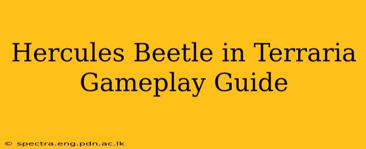 Hercules Beetle in Terraria Gameplay Guide