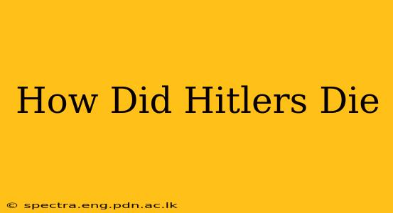 How Did Hitlers Die