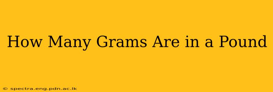 How Many Grams Are in a Pound