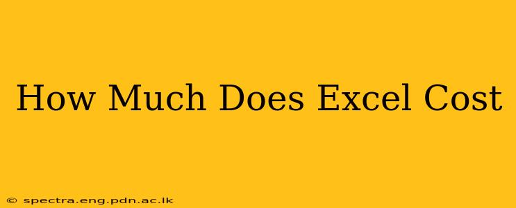 How Much Does Excel Cost