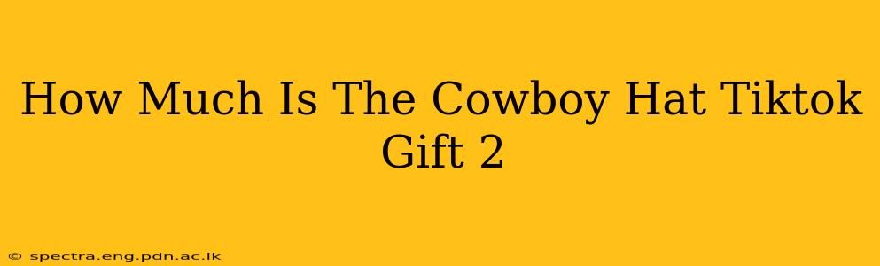 How Much Is The Cowboy Hat Tiktok Gift 2