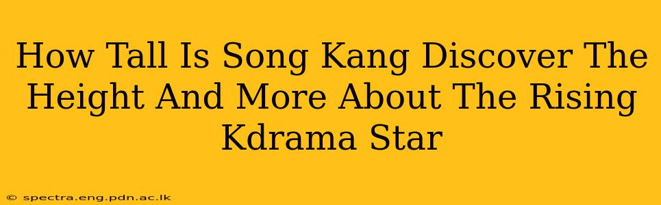 How Tall Is Song Kang Discover The Height And More About The Rising Kdrama Star