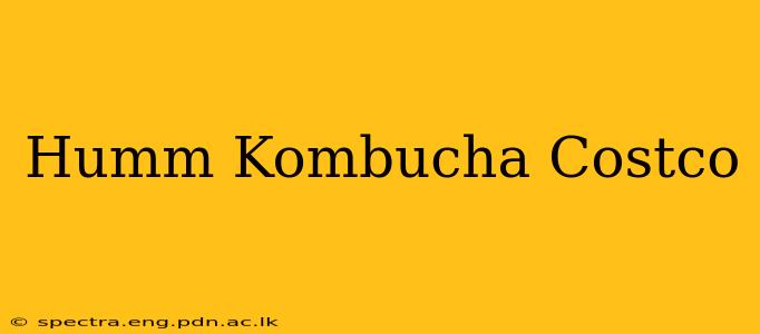 Humm Kombucha Costco