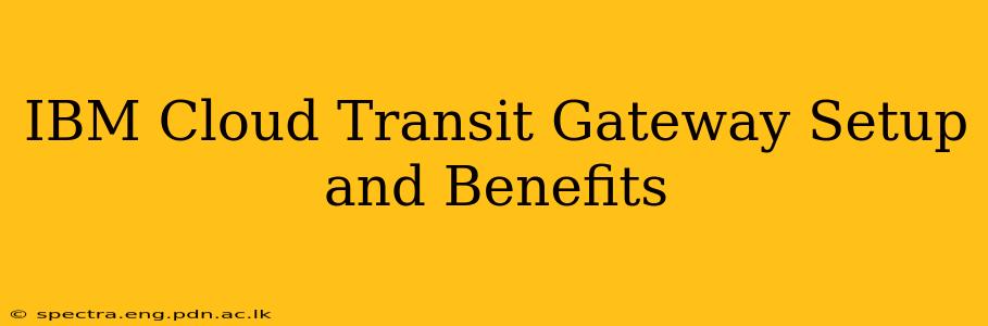 IBM Cloud Transit Gateway Setup and Benefits