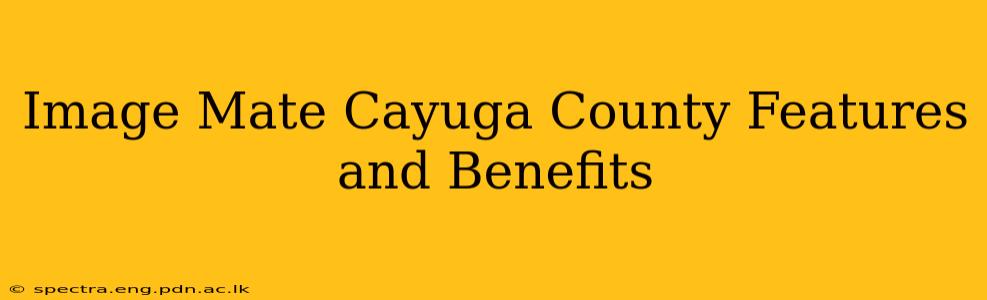 Image Mate Cayuga County Features and Benefits