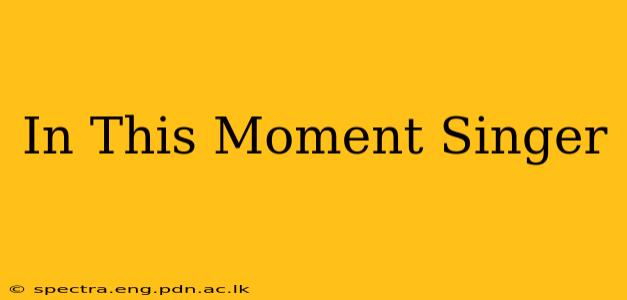 In This Moment Singer