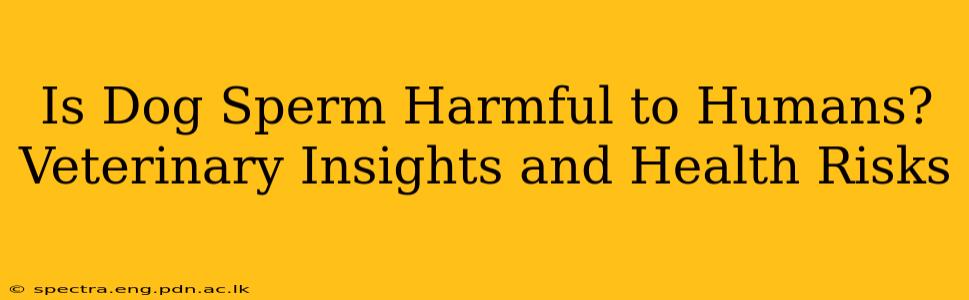 Is Dog Sperm Harmful to Humans? Veterinary Insights and Health Risks