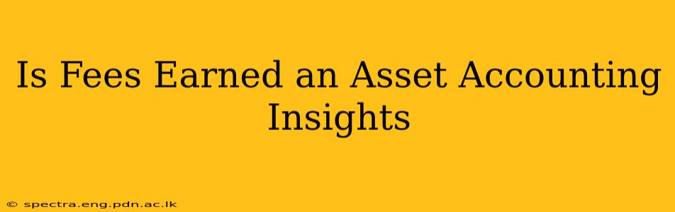 Is Fees Earned an Asset Accounting Insights