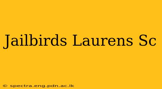 Jailbirds Laurens Sc