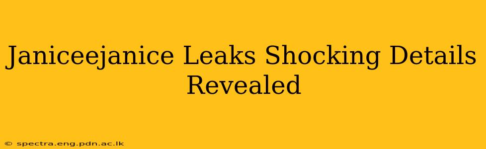 Janiceejanice Leaks Shocking Details Revealed
