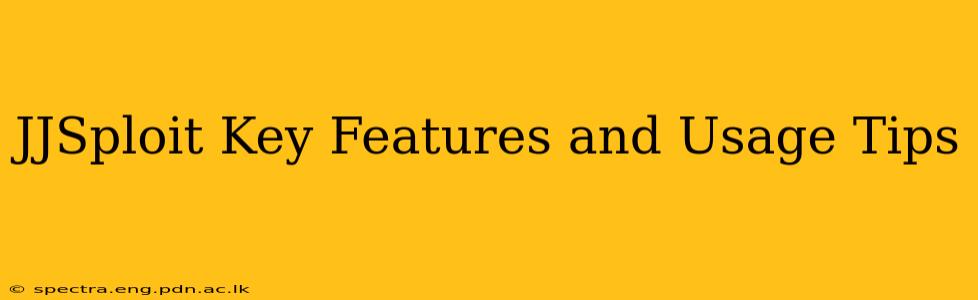 JJSploit Key Features and Usage Tips