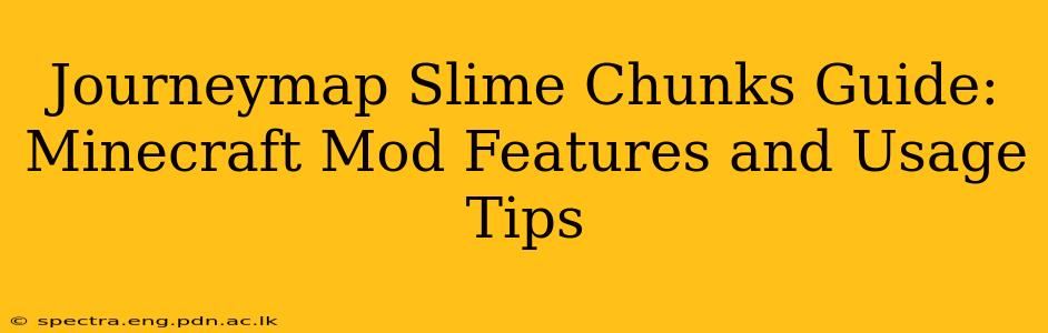 Journeymap Slime Chunks Guide: Minecraft Mod Features and Usage Tips