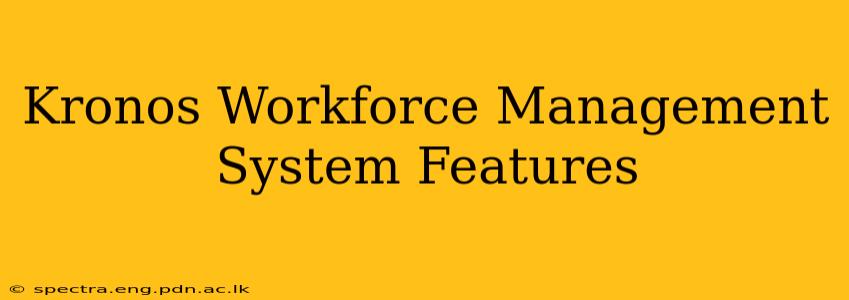 Kronos Workforce Management System Features