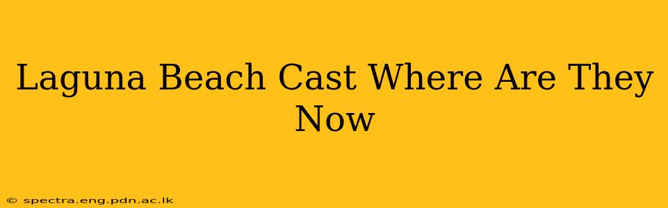 Laguna Beach Cast Where Are They Now