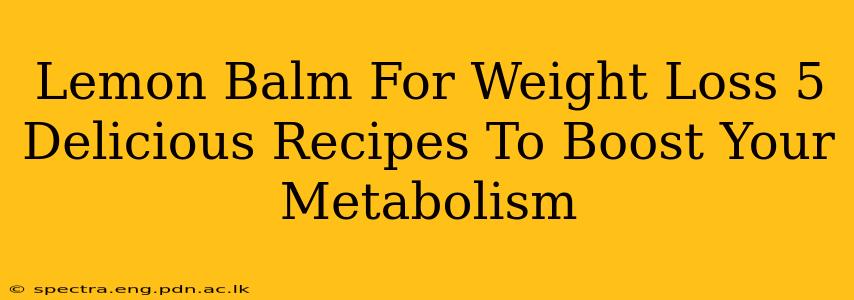 Lemon Balm For Weight Loss 5 Delicious Recipes To Boost Your Metabolism