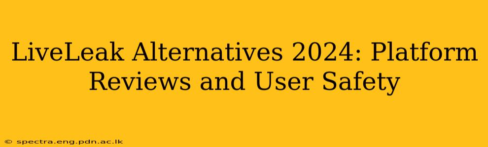 LiveLeak Alternatives 2024: Platform Reviews and User Safety