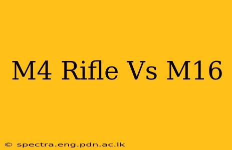 M4 Rifle Vs M16
