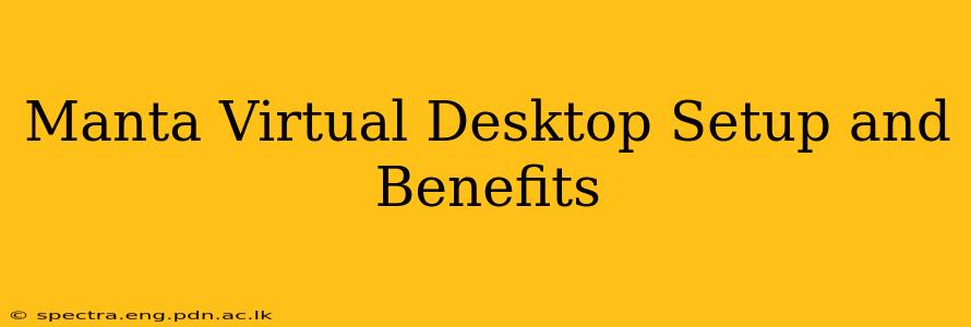 Manta Virtual Desktop Setup and Benefits
