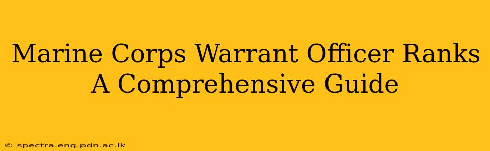 Marine Corps Warrant Officer Ranks A Comprehensive Guide