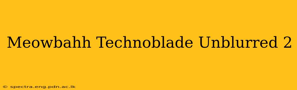 Meowbahh Technoblade Unblurred 2