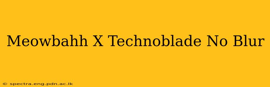 Meowbahh X Technoblade No Blur