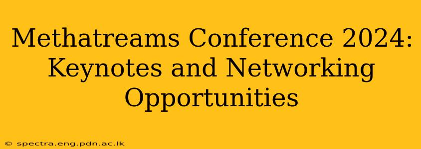 Methatreams Conference 2024: Keynotes and Networking Opportunities