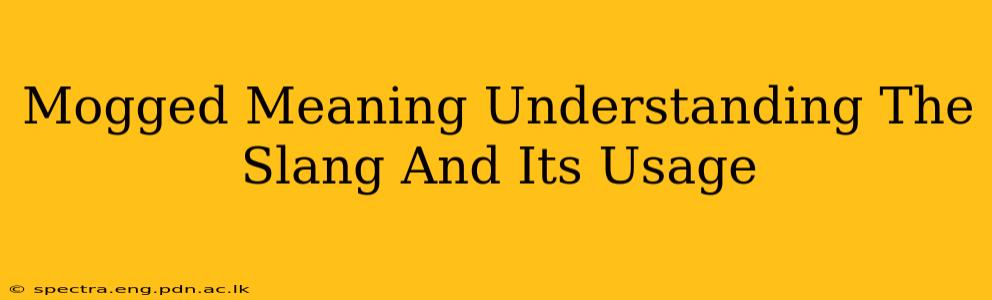 Mogged Meaning Understanding The Slang And Its Usage