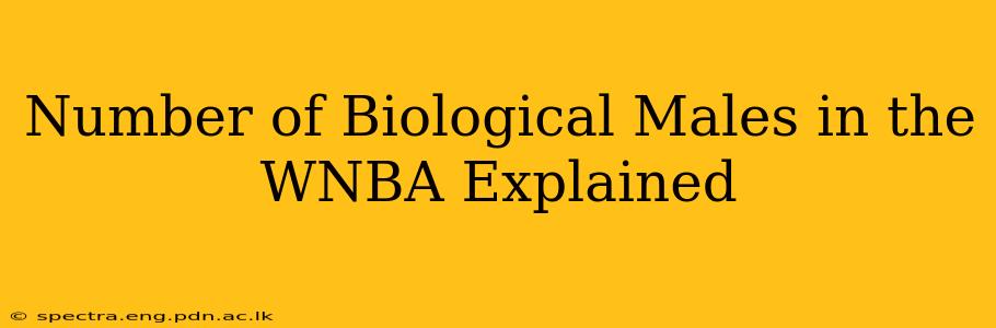 Number of Biological Males in the WNBA Explained