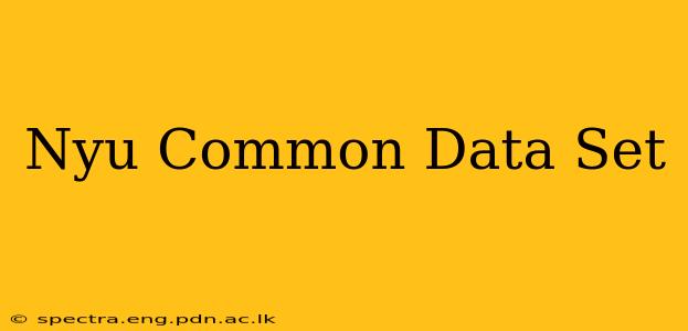 Nyu Common Data Set