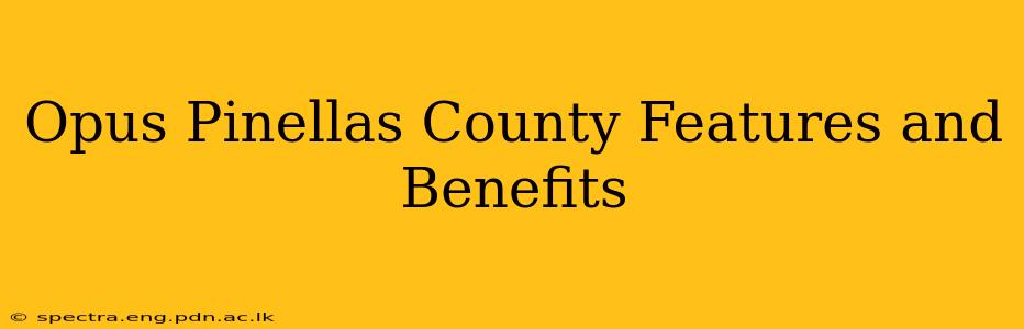 Opus Pinellas County Features and Benefits