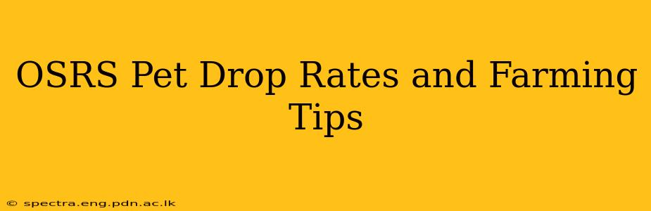 OSRS Pet Drop Rates and Farming Tips