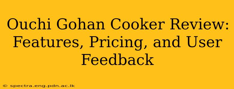 Ouchi Gohan Cooker Review: Features, Pricing, and User Feedback