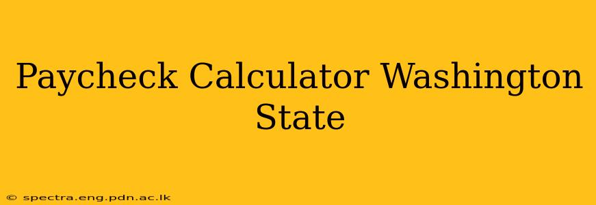 Paycheck Calculator Washington State
