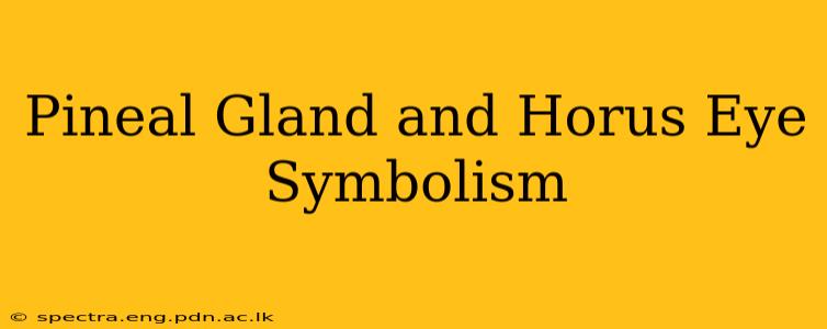 Pineal Gland and Horus Eye Symbolism