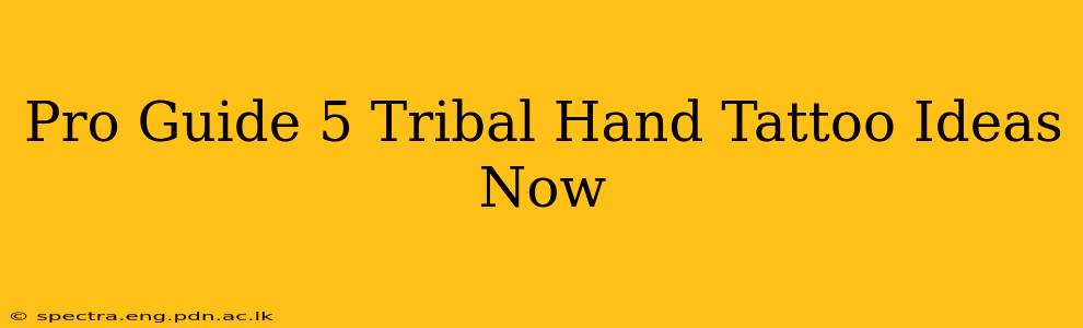 Pro Guide 5 Tribal Hand Tattoo Ideas Now