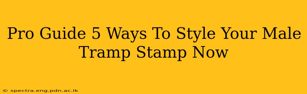 Pro Guide 5 Ways To Style Your Male Tramp Stamp Now