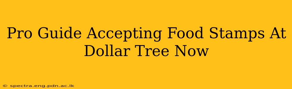 Pro Guide Accepting Food Stamps At Dollar Tree Now
