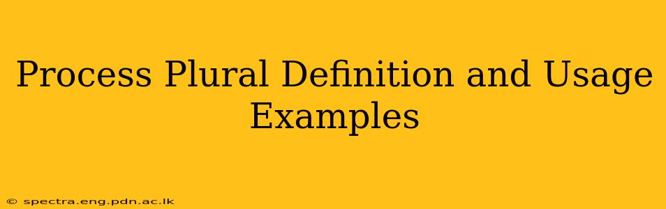Process Plural Definition and Usage Examples
