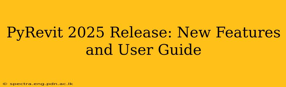 PyRevit 2025 Release: New Features and User Guide