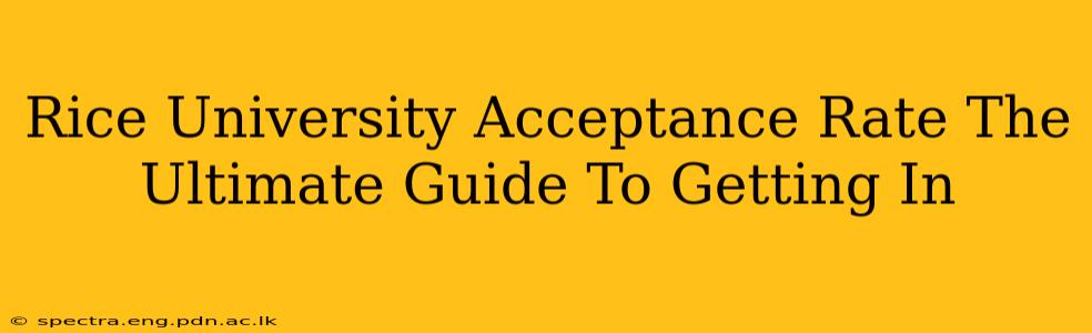 Rice University Acceptance Rate The Ultimate Guide To Getting In