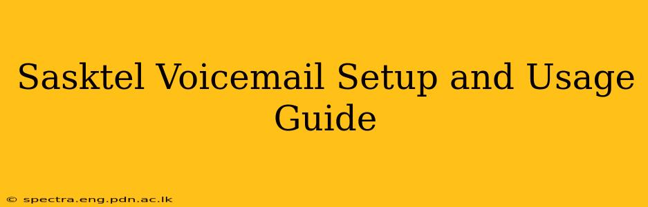 Sasktel Voicemail Setup and Usage Guide