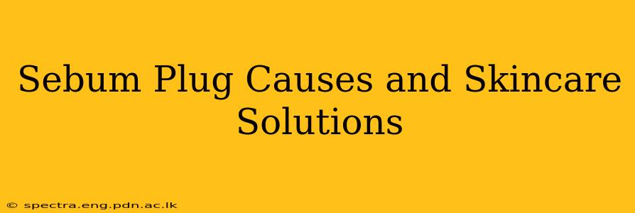 Sebum Plug Causes and Skincare Solutions